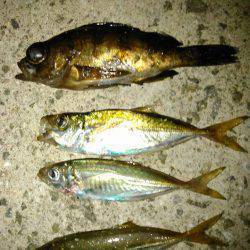 ひっさびさのライトゲーム！❤